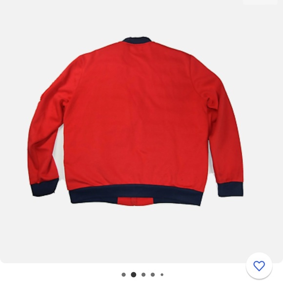 Polo - Picture 3 of 14